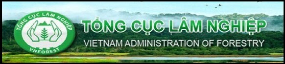 11. Tong cuc LN