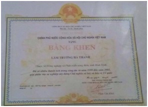 Năm 2002 Công ty được Thủ tướng Chính phủ tặng bằng khen